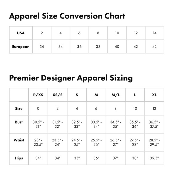 ACNE STUDIOS 🆕 Luxury Bow 💯 Silk Blouse/Mini Dress. Euro Size 34. MSRP:$840 🔥 - Picture 8 of 8